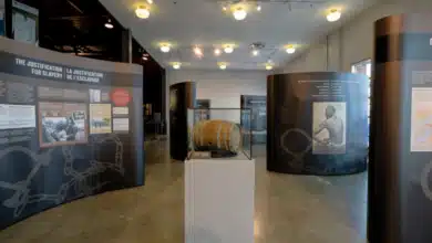 United Nations to Host Exhibition on Enslavement of Black People in Canada