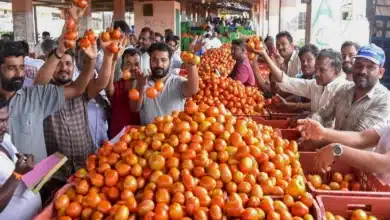Wholesale Inflation Reaches 11-Month Peak at 2.13%; Crude Oil Surge Could Drive WPI Higher