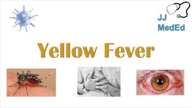 Map showing WHO data on yellow fever endemic countries in Africa and Latin America with at-risk populations and vaccination coverage