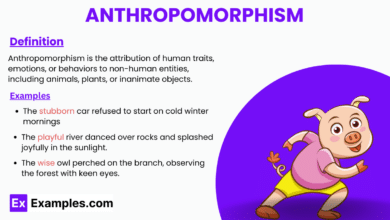 anthropomorphism in everyday life