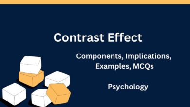 contrast effect perception psychology