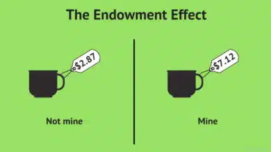 endowment effect bias
