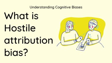 hostile attribution bias