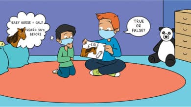 illusory truth effect