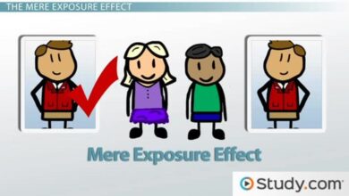mere exposure effect psychology