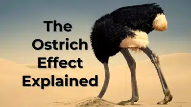 ostrich effect explained
