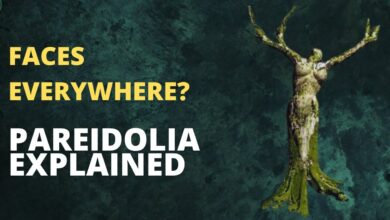 pareidolia explained