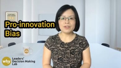 pro-innovation bias explained