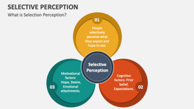 selective perception explained