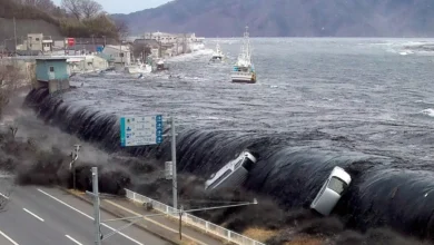 Aerial view of tsunami devastation showing destroyed coastal buildings and flooding illustrating health impacts and disaster mortality