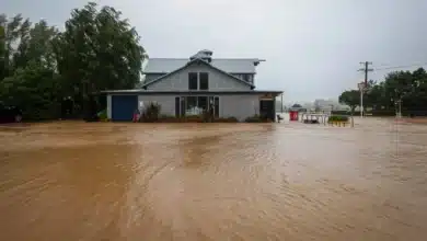 ‘Disaster inertia’: why must NZ keep relearning the same lessons from extreme events?