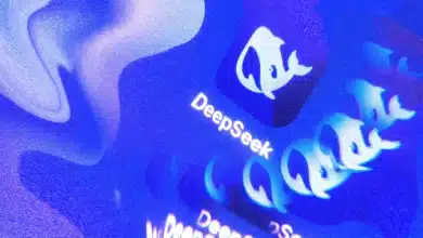 DeepSeek's New Model Receives Tepid Response