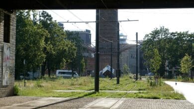 Green tram tracks cut heat and beautify cities. Why isn’t Australia doing it?