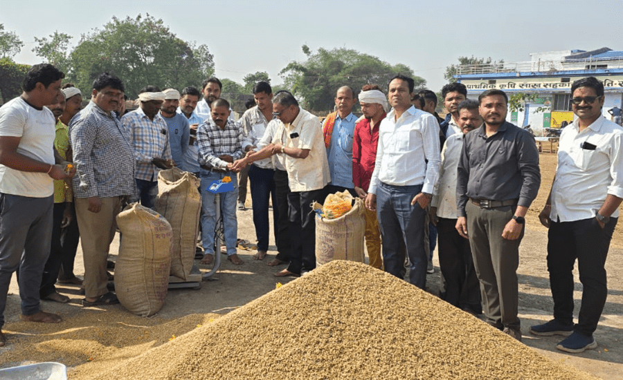 India Boosts Pulse Procurement Initiatives in Bihar and Chhattisgarh