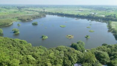 India Launches Major Biodiversity Conservation Initiative
