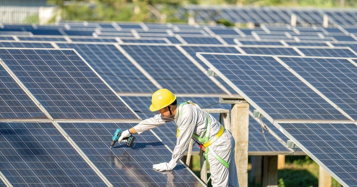 India Pioneers Green Economy with New Job Opportunities