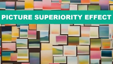 Mastering the Picture Superiority Effect