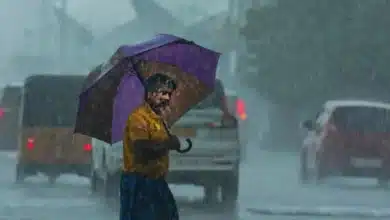 Monsoon Forecast: Below Normal Rain Expected for India in 2026