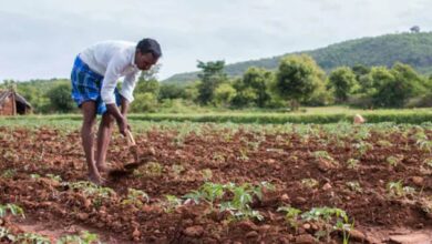 National Agriculture Fair to Empower Farmers in Madhya Pradesh