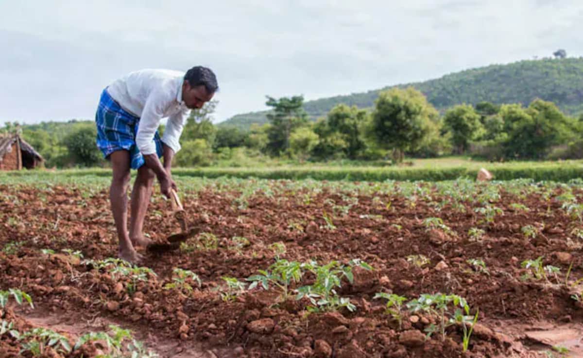 National Agriculture Fair to Empower Farmers in Madhya Pradesh