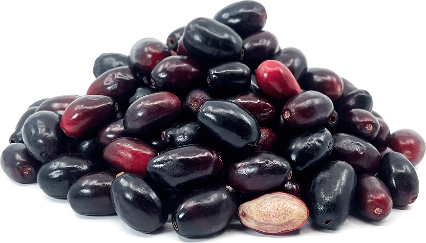New Study Reveals Ancient Origins of Jamun in India