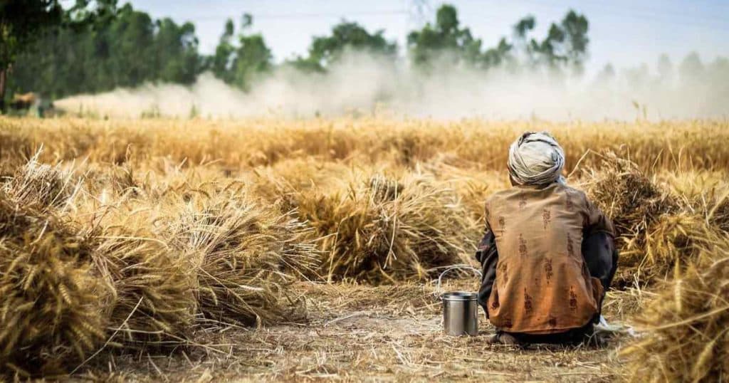 New Task Force Launched to Tackle Agricultural Challenges in India