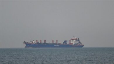 Pakistan's Response to the Hormuz Energy Crisis: Petrol Shock, Free Rides, and More