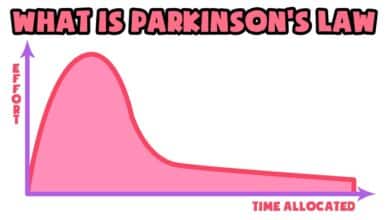 Parkinson's Law of Triviality explained