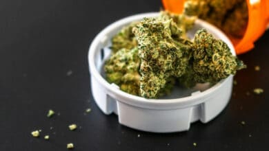 Reclassification of marijuana opens doors for much‑needed medical research into the benefits and risks of the drug