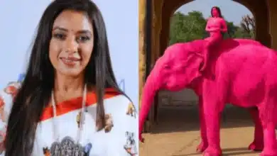 Rupali Ganguly Appeals to Narendra Modi for Elephant Ride Ban Following Controversial Photoshoot