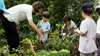 School gardens help students learn science and connect with agriculture – but making them happen isn’t easy