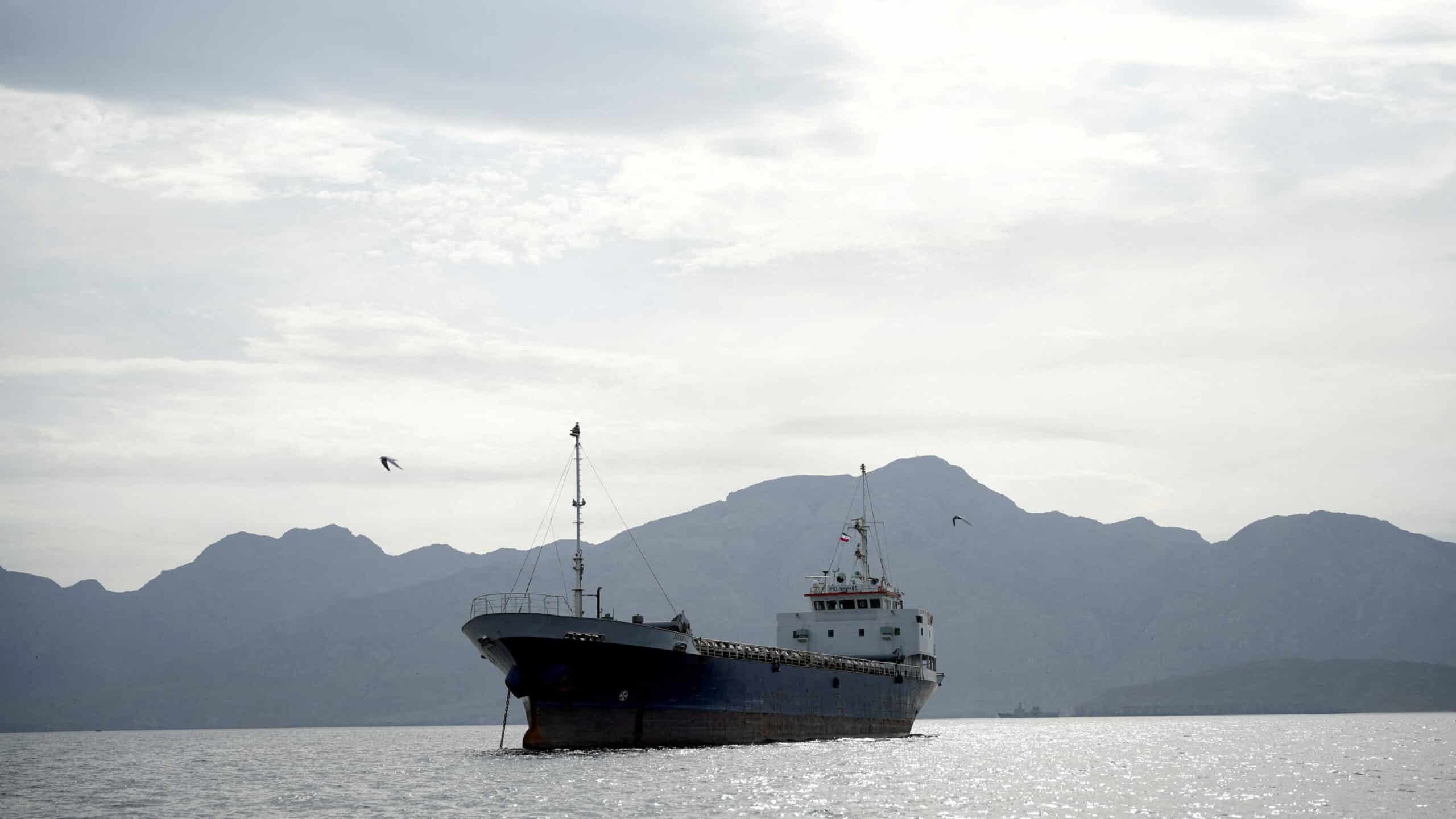 Shipping Ministry Highlights 40 Priority Vessels and Recommends Oman Route Due to Hormuz Disruption