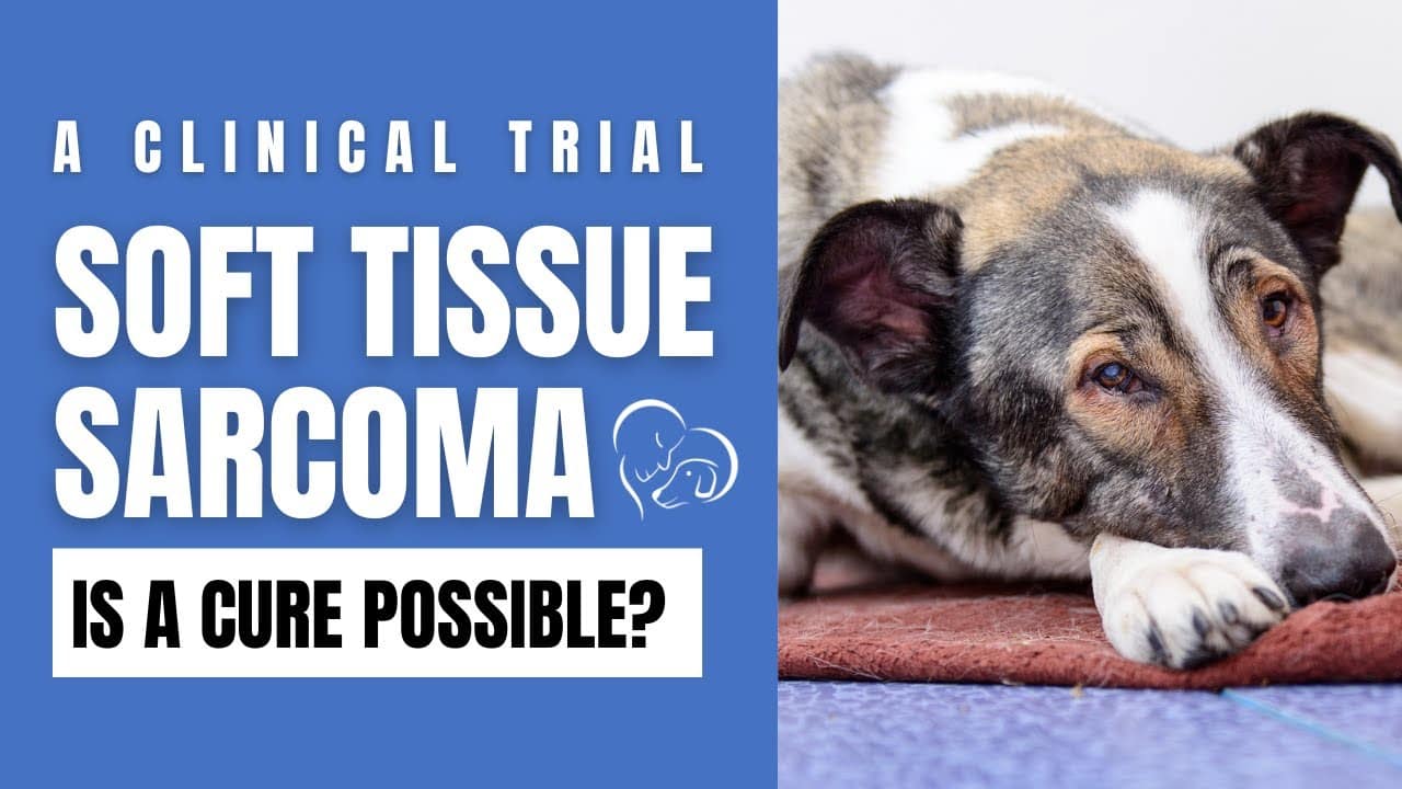 Soft Tissue Sarcoma