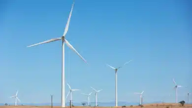 States have driven climate action until now. It’s time for the Australian government to step up