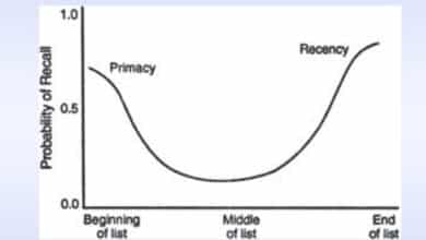 Understanding the Serial Position Effect