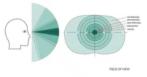 Visual Field Test