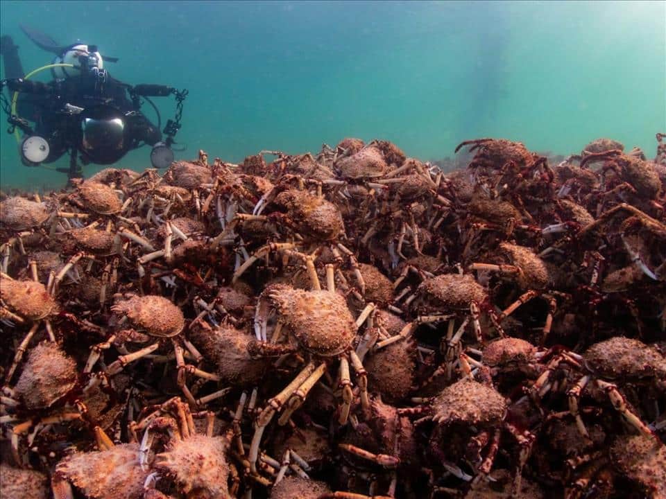 Want to be a citizen scientist? Here are 5 ways to get involved