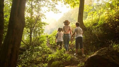 Warmer temps bring soaring tick populations – here’s how to stay safe from Lyme disease