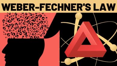 Weber-Fechner law explained