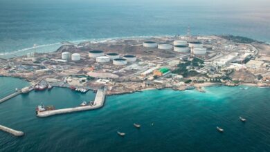 What is OPEC and how does it shape global oil markets?