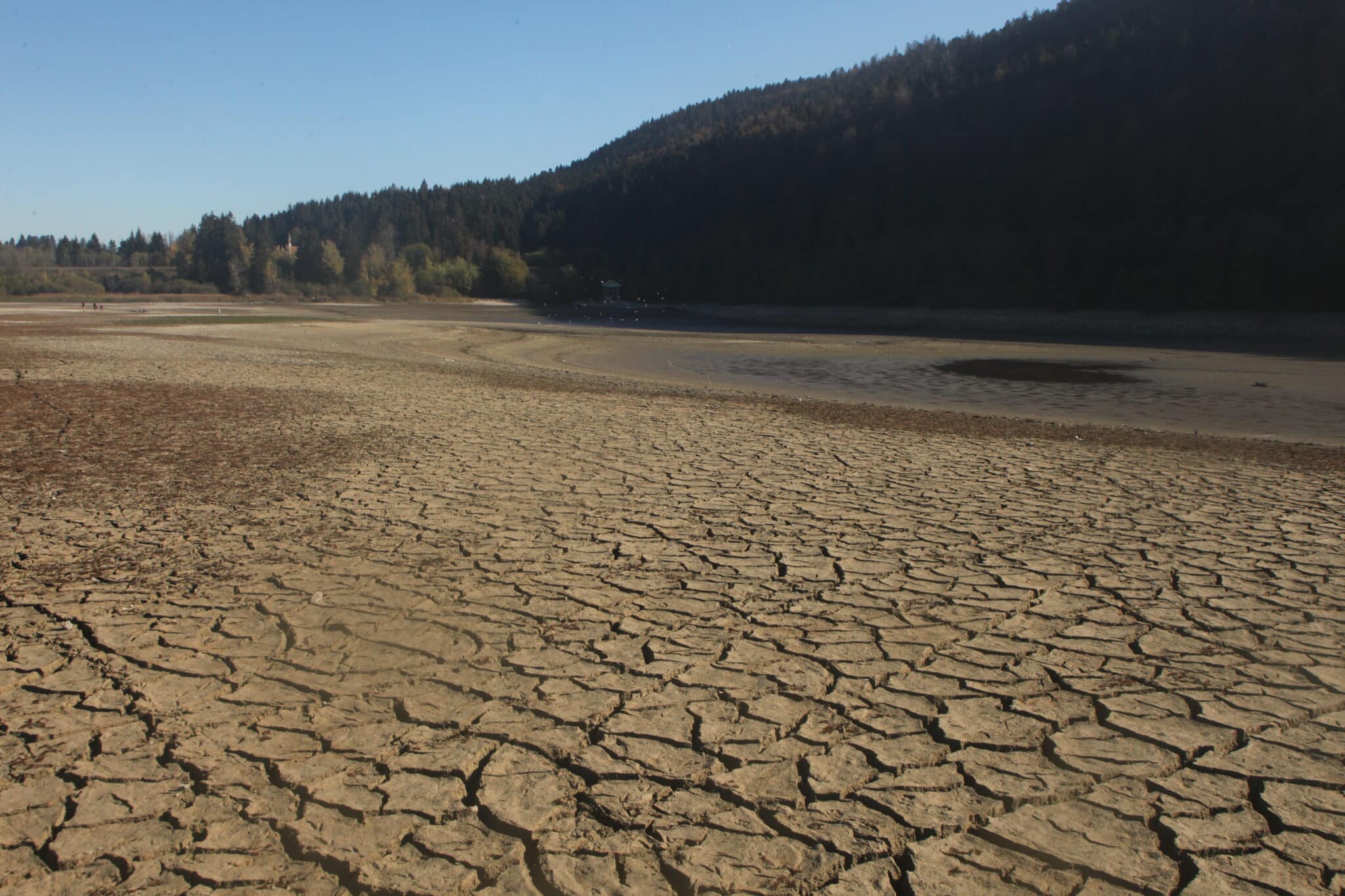 Southeast Wildfires: Drought and Weather Explained