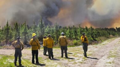 Why the Southeast is burning – extreme drought is only part of the cause