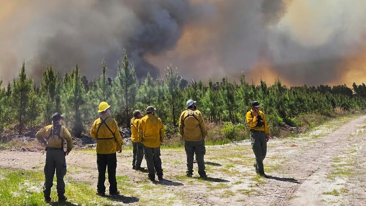 Why the Southeast is burning – extreme drought is only part of the cause