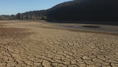 Why the Southeast is burning – extreme drought is only part of the reason