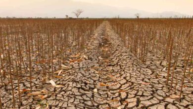 Why the phrase “Super El Nino” makes Australian climate scientists roll their eyes