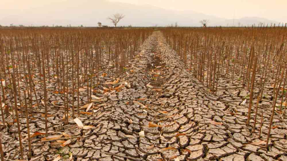 Why the phrase “Super El Nino” makes Australian climate scientists roll their eyes