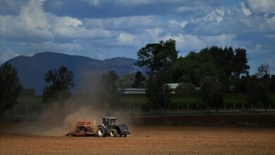 Winter crops need to be sown ‑ but Australia’s farmers are worried about fertilisers and fuel