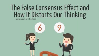 false consensus effect explained