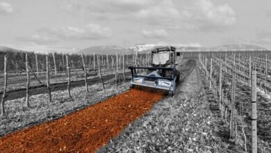 forestry mulchers