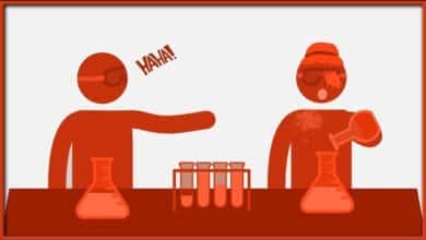 fundamental attribution error explained